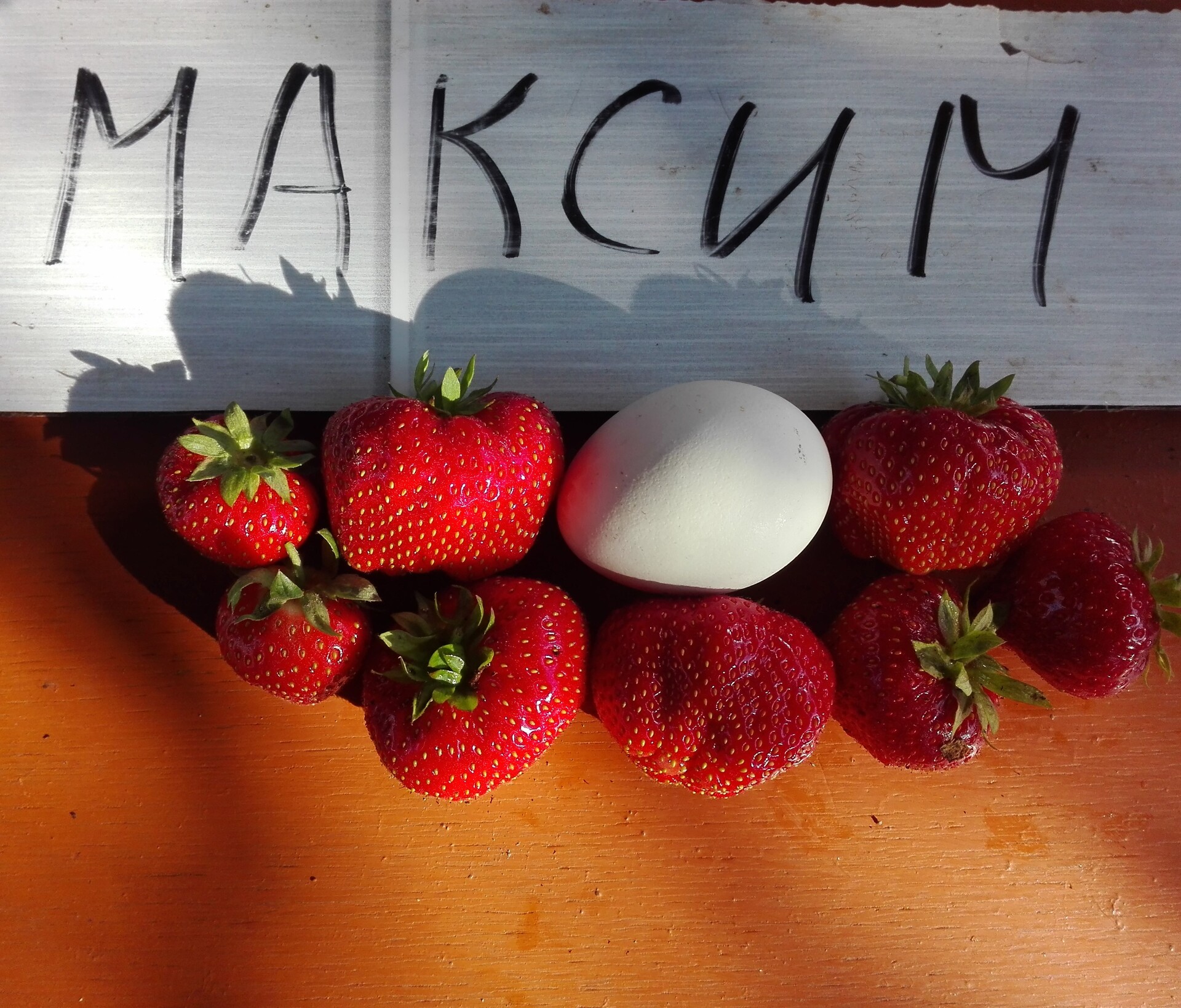 Клубника рассада. Максим
